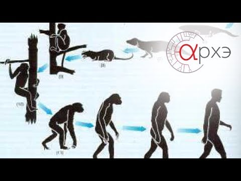 Станислав Дробышевский: "Теория эволюции. Часть 1."