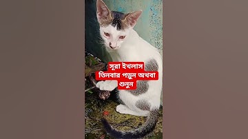 সূরা ইখলাস, سورة الإخلاص, @Shahin09, #quran #islam #sunnah #dua #short