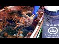 函館海鮮市場 - 日本美食