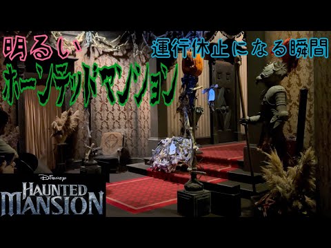 WDW1999 ホーンテッド・マンション・ダングル　限定1999個 WDW1999 ホーンテッド・マンション・ダングル 限定1999個 2025年