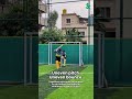 The pitch was uneven. The bounce was unpredictable. #shorts