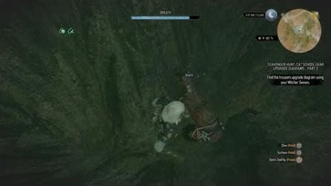 The Witcher 3 Just Roach Things 2