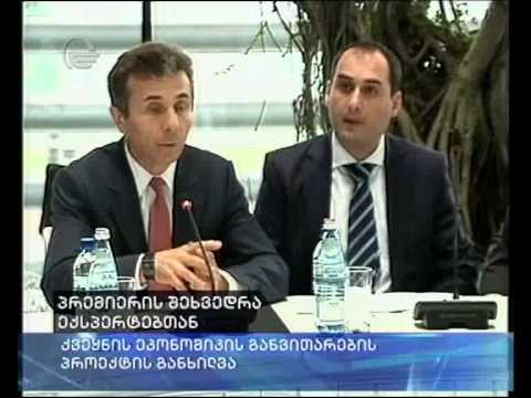 პრემიერის შეხვედრა ექსპერტებთან