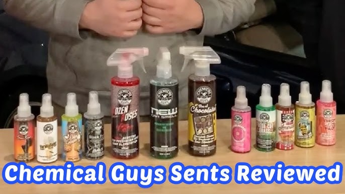 Chemical Guys Signature Scent Air Freshener