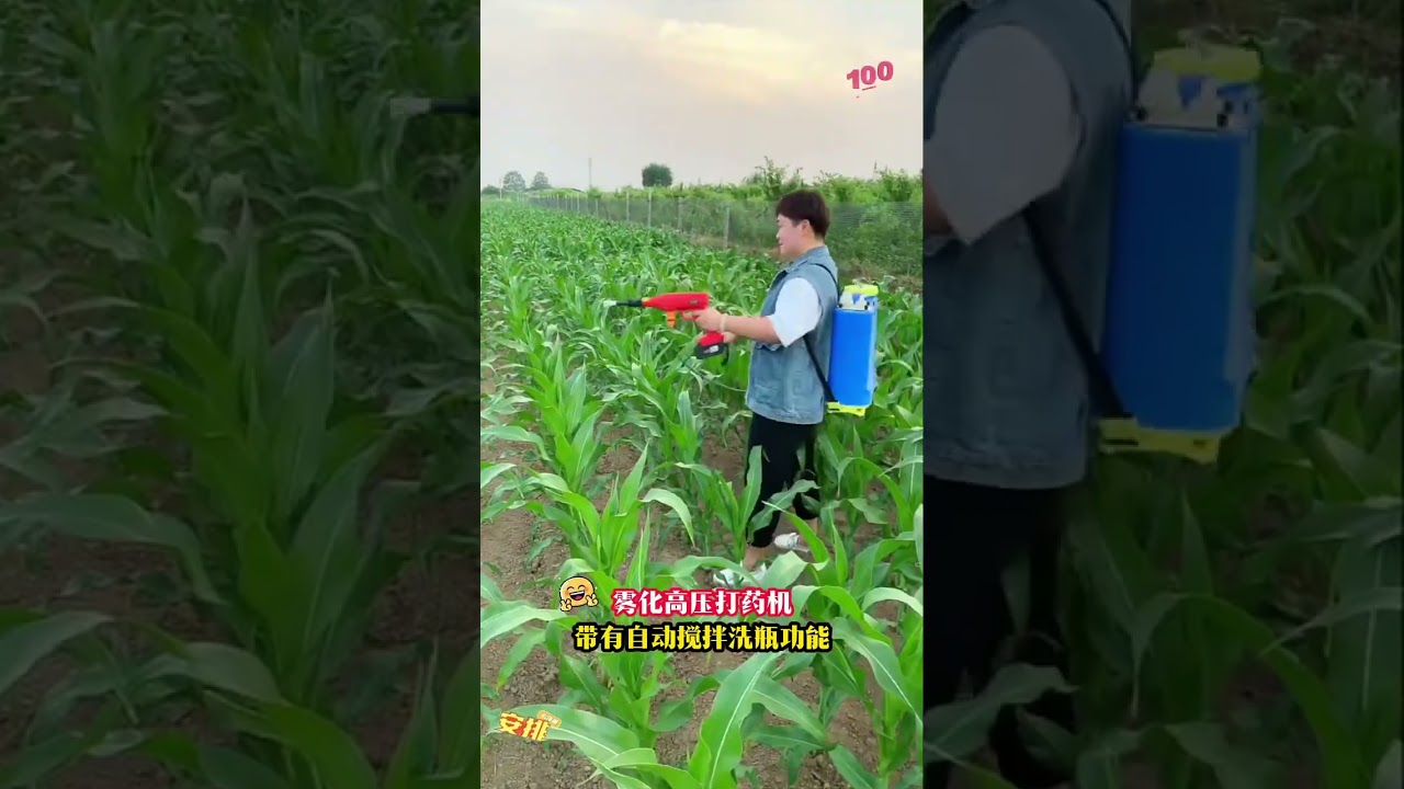 Fruit tree pesticide spraying, take a look at this 