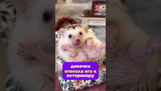 Девочка спасла тонувшего ЕЖА
