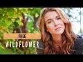 Wildflower Music Free