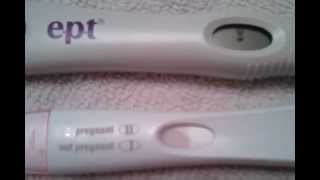 14 dpo/ LIVE Pregnancy Test!
