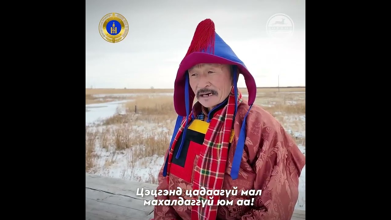 Зээрийн сүрэг, ургамлын үр тархаах, цэцгэнд цадсан мал махан тарга 