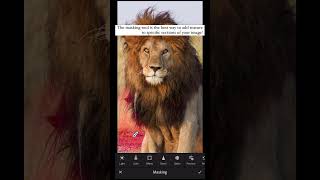 Masking in Lightroom Mobile to Add Depth screenshot 4