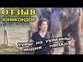 Отзыв. Тур в Непал и Индию.Юникондор