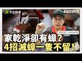 蟑螂比起食物更愛「這東西」！斷根+治本全方位滅蟑 ∣ 歐哲廷 居家除蟲專家【早安健康 × 家事研究所】