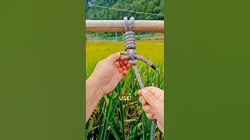 👉 A POWERFUL Knot in Our Daily Lives! #knot #technique #rope #interesting #knowledge