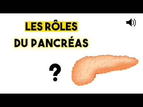 Vidéo: Quelles Sont Les Fonctions Du Pancréas