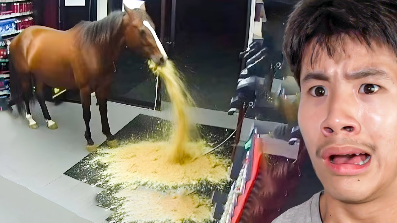 Tiktok Cringe That Made Me Jump Off A Cliff