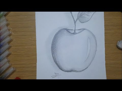 فيديو: كيفية رسم تفاحة بقلم رصاص