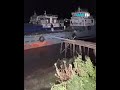 كامرا المراقبة تسجل سواجن من الجن الحقيقي شمال شرق السودان على الساحل الغربي البحر الاحمر كامرا المراقبة تسجل سواجن من الجن الحقيقي شمال شرق السودان على الساحل الغربي البحر الاحمر