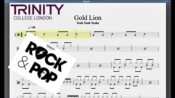 Gold Lion Trinity Initial Grade Drums