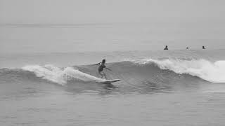 Mollusk Surf Shop Mollusk Silver Lake Club House Construction