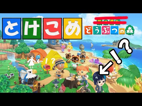 ぼっちはやなのでどうぶつの森の住人に僕もなる！【誰でもどぶ森っぽくなれるシステム作ってみた】