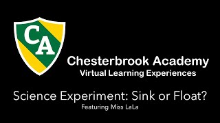 Week #6 Distance Learning: Science Experiment - Sink or Float?