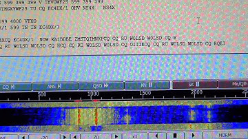 ARRL RTTY Roundup W0LSD 40 meters