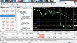 Forex Mt4 Demo Acct Youtube - 