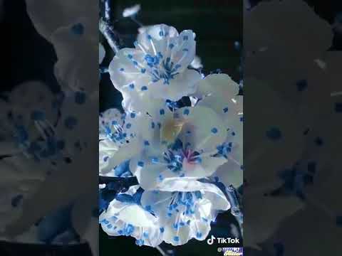 ٢٧ أكتوبر ٢٠١٨