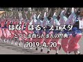 藍場浜の前半「はな・はる・フェスタ2019」【永久保存版】春らんまん阿波おどり（2021.2.4）