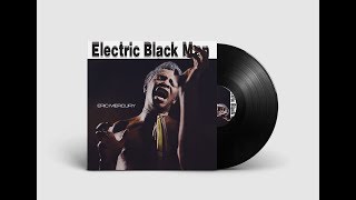 Miniatura del video "Eric Mercury - Electric Black Man"