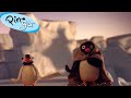 Pingu and the Abominable Snowman 🐧 | Pingu - Official Channel | Cartoons For Kids