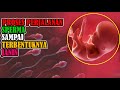 Menyelami Proses Ajaib Sperma Menjadi Bayi: Perspektif Islam dan Sains