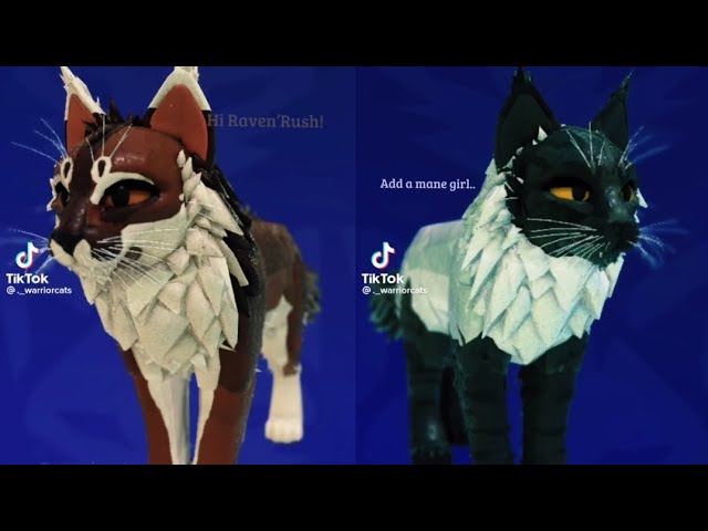 what app means in warrior cats｜TikTok Search