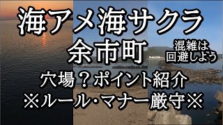 海アメマス海サクラマスの穴場ポイント？余市町 モイレ岬～浜中海岸