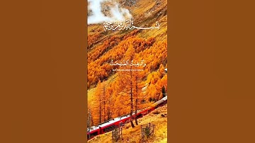 #تلاوة_خاشعة المال والبنون زينة الحياة الدنيا #قران_كريم #قرآن #ماهر_المعيقلي #اكسبلور #duet #لايك