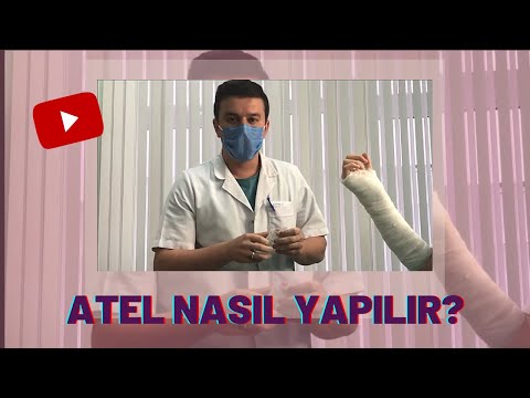 Video: Gördüğümüz en zeki hayvanlardan sadece 31 GIF