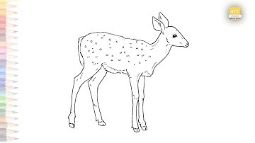 Fawn easy drawing | How to draw Fawn step by step | baby deer drawing | easy drawing videos #fawn