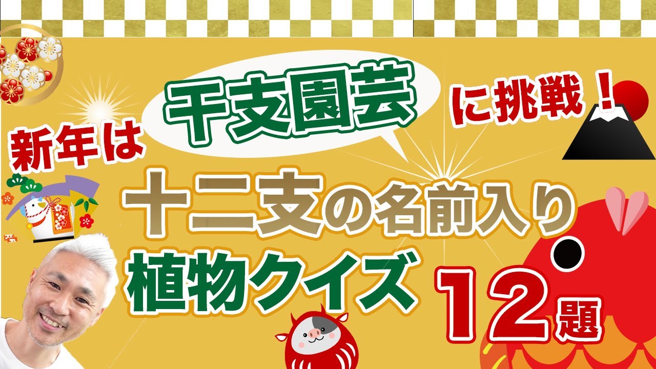 英文世界名作シリーズ ラング動物記 英文世界名作シリーズ ラング動物記