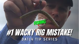 Pro Secrets Exposed! #1 Wacky Rig Mistake! (Bass Fishing) (Ep. 19)