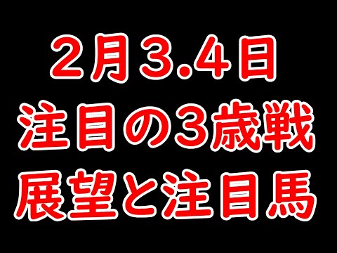 2月3.4日注目の3歳戦 展望と注目馬 エルフィンSを勝つのはどの馬？ 京都新馬ではキタサンブラックの弟が登場！【POG23-24】