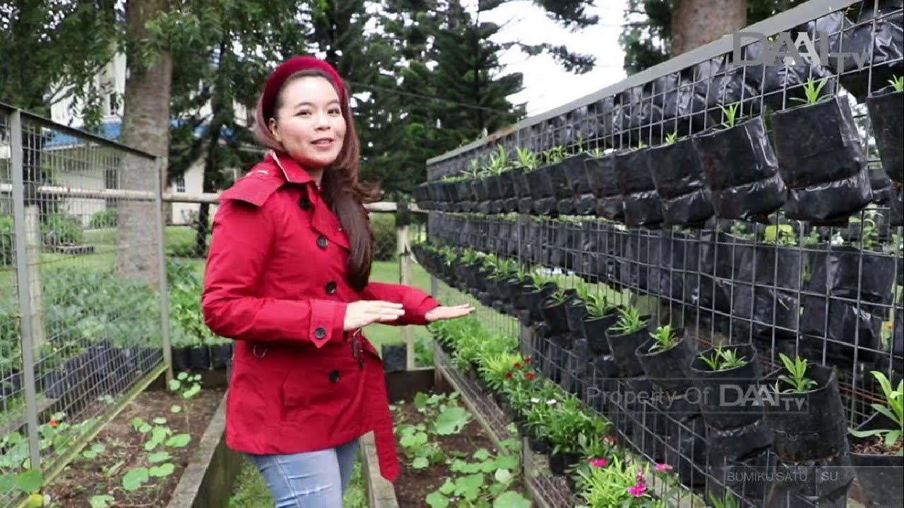 Bunga Cantik dapat Dimakan | Bumiku Satu