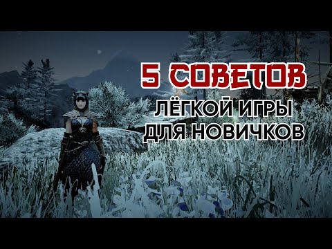 Видео: 5 советов новичкам Black Desert