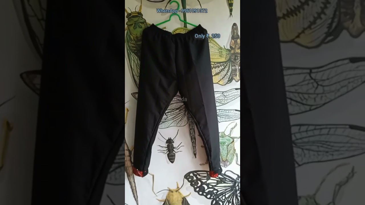 ₹.250 straight pants women  