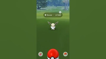 ✨ SHINY EEVEE Catch in Pokemon GO