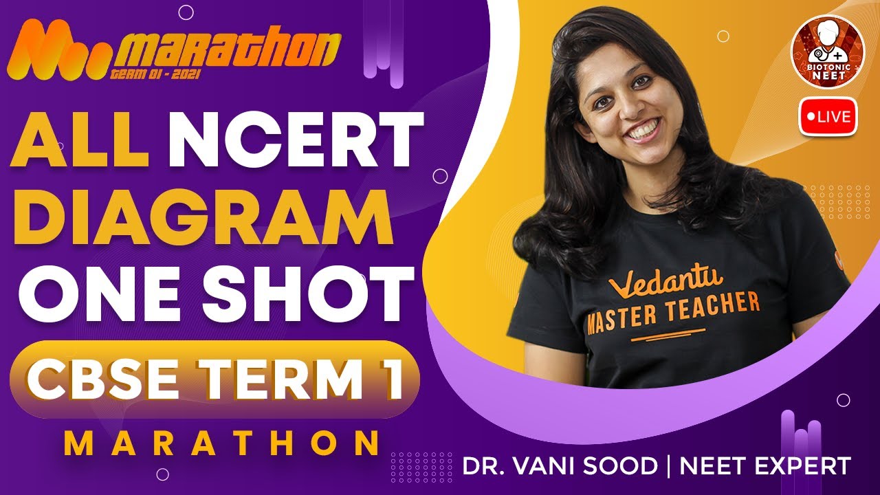 All NCERT Diagram in one shot | CBSE Class 12 Term 1-Marathon | NCERT ...
