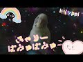 『きゃりーぱみゅぱみゅ さん』が超お気に入り❤(^◇^)❤ きみがいいねくれたら【主題歌】ドラマ☆向かいのバズる家族 ( `・ω・ ́)ノ ☆わたし、定時で帰ります☆めざましテレビ★めざましじゃんけん♪