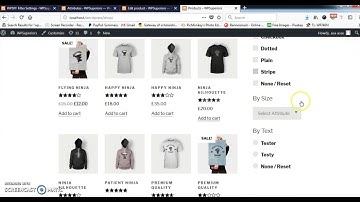 Product Filter For WooCommerce Product - Attribute Settings - Part 1