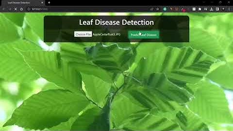 Tea leaf disease detection using deep learning(Naan mudhalvan project III yr CSE)