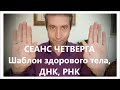 СЕАНС ЧЕТВЕРГА. Шаблон здорового тела. ДНК и РНК. THURSDAY SESSION Healthy body pattern. (13.06.19)