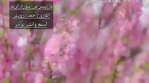 "ألا بذكر الله تطمئن القلوب" ما تيسر من سورة الرعد